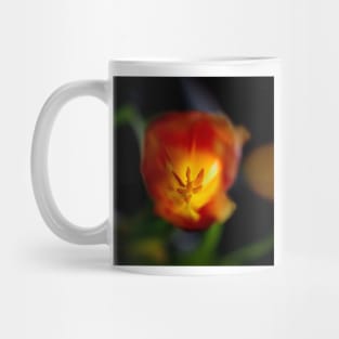 Red Tulip Close Up Mug